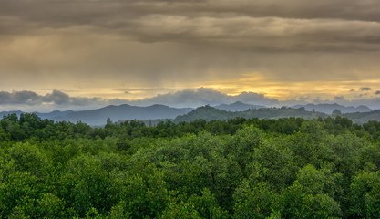 Fototapeta na wymiar Beautiful landscape view of evergreen mangrove forest and sunlight mountain in thailand.
