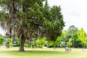LeGrande park in Montgomery, USA during green spring in Alabama capital city during sunny day with...