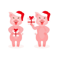Cute little pigs holding boxes of presents smiling on white background