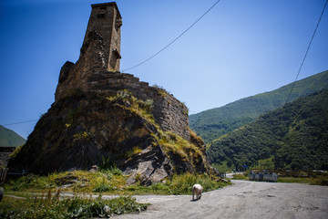 Georgian mountain village of Sno. Old stone fortress in the village of Sno against the background of mountains and Alpine meadows