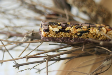 Granola bar on tree branch