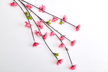 Branch Pink Cherry Blossoms