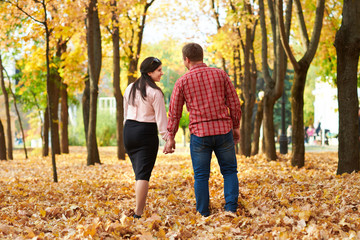 Naklejka na ściany i meble Couple is walking in autumn city park. Bright yellow trees.