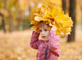 Child boy is posing with yellow fallen leaves on his head. Autumn city park, bright day.