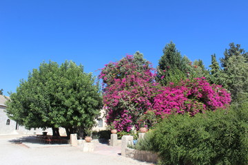 Monastery garden