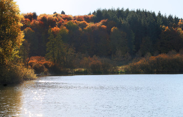 See im Herbst