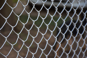 Naklejka premium Narrow focus of the tilted view of realistic steel netting or chain link fence wire mesh steel metal. Background is blurred.