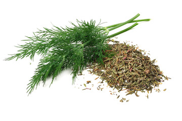 bunch fresh green dill with dried dill isolated on white background