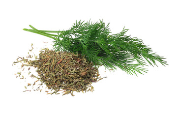 bunch fresh green dill with dried dill isolated on white background