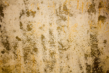 Old dirty gray white concrete wall with cracks and stains of paint and mold with moss. rough surface texture
