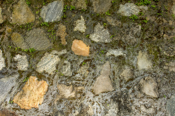 Fototapeta na wymiar a wall of various large natural stones with small green vegetation. wall with moss. rough wall surface texture.