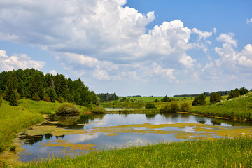 Warm beautiful summer landscape with lake and grass. A pond on a background of greenery and blue sky