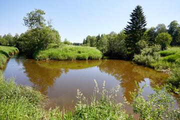 Warm beautiful summer landscape with a river and grass. A pond on a background of greenery and blue sky. Summer day