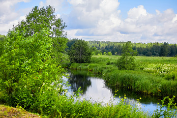Fototapeta na wymiar Warm beautiful summer landscape with a river and grass. A pond on a background of greenery and blue sky. Summer day