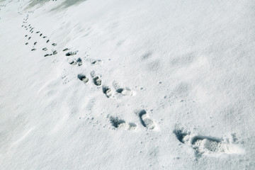 footprints in snow