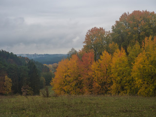 green meadow with autumn colorful beech forest and trees and hills in nature reserve Cesky Raj, moody blue sky