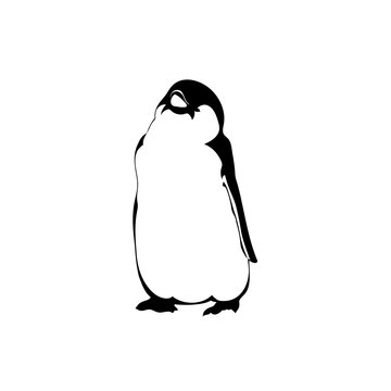 penguin chick. vector monochrome illustration. black and white image