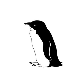 penguin profile. vector monochrome illustration. black and white image