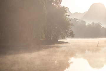 Backgrounds of scenery (nature), wallpaper close (mountains, swamps, trees) with a colorful atmosphere morning sunrise, natural beauty, seen during the trip.