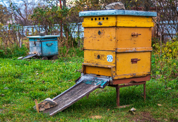 Beehives in the apiary. Completion of the summer season of honey collection