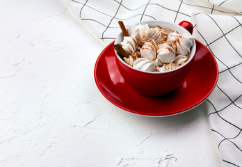 Cup of hot cocoa with marshmallow