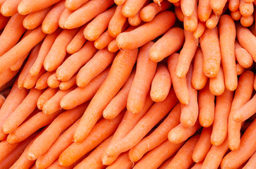 Beautiful ripe carrot background. Carrots are good for health.