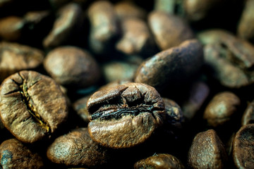 favorite aromatic coffee beans