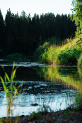 Natural background, landscape: morning fog on the river in the forest, at dawn on a summer day. Soft focus.