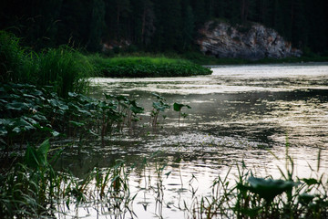 Natural background, landscape: sunset on a forest river on a Sunny day, evening fog.