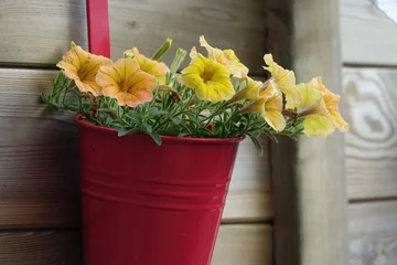 Foto auf Acrylglas Seerose - Blumen © Luc