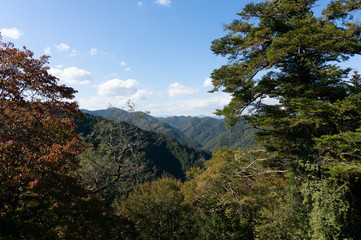 高尾山からの景色