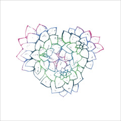Color llustration by hand. Bouquet of succulents in the shape of heart - an idea for a tattoo