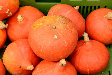 pumpkins bunch at Saturday market, Ludwigsburg