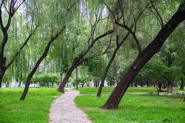 Park with lake and beautiful trees near Summer Palace, Beijing, China