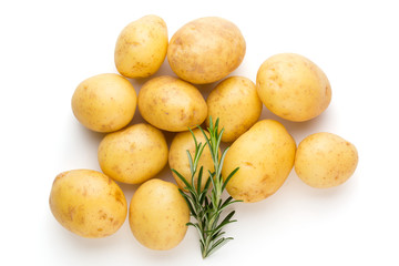 New potato and rosemarin isolated on white background close up.