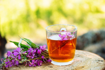 Herbal tea, against a fire and wildlife of forest edible flowers. The concept of ecological approach, the interaction of nature and man.