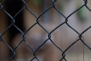 Steel cage to keep animals out