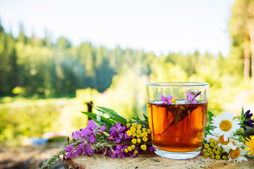 Herbal tea, against a fire and wildlife of forest edible flowers. The concept of ecological approach, the interaction of nature and man.