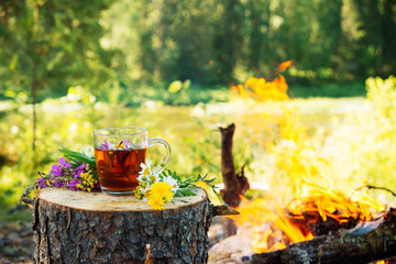 Herbal tea, against a fire and wildlife of forest edible flowers. The concept of ecological approach, the interaction of nature and man.