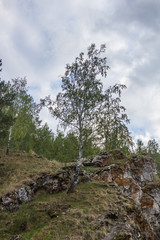 walk on a river tram along the Iset canyon near the town of Kamensk-Uralsky, Sverdlovsk region