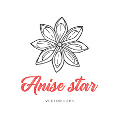 Hand drawn detailed outline illustration of the Anise star spice.