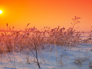 Fototapeta na wymiar Sunset and snow-covered grass. Winter, Russia, Ural, Perm Region