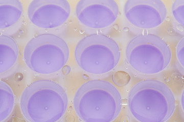 The water is poured into a purple plastic ice mold