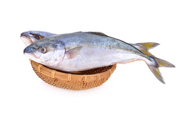 whole round Yellowtail fish or Hamachi fish in the basket on white background