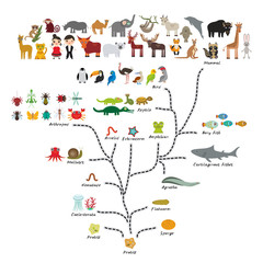 Naklejka premium Evolution in biology, scheme evolution of animals isolated on white background. children's education, science. Evolution scale from unicellular organism to mammals. back to school. Vector