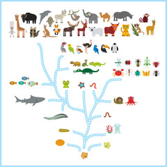 Evolution in biology, scheme evolution of animals isolated on white background. children's education, science. Evolution scale from unicellular organism to mammals. back to school. Vector