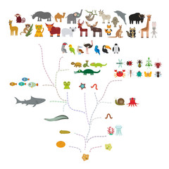 Evolution in biology, scheme evolution of animals isolated on white background. children's education, science. Evolution scale from unicellular organism to mammals. back to school. Vector
