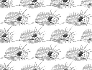 seamless pattern sea shells Venus comb Murex pecten, sea snail, marine gastropod mollusk in the family Muricidae Sketch black contour on white background. Vector