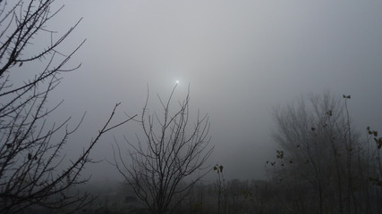 Beautiful mystical surrealistic morning landscape in cold foggy weather with little dim sun on tree branch