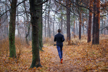 Fototapeta premium Young man jogging in autumn park in the morning